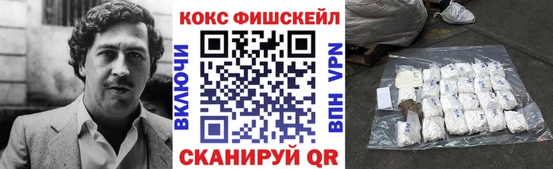 COCAIN FishScale  где купить   Руза 