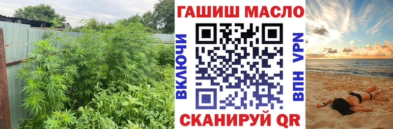shop состав  Руза  Дистиллят ТГК вейп с тгк 